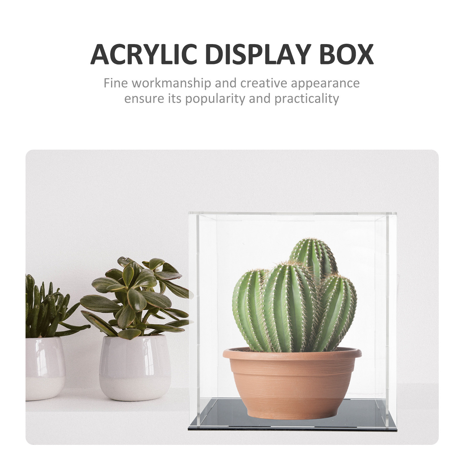 Kotak Pajangan Akrilik Berkual - Display Case Acrylic ulasan dan harga