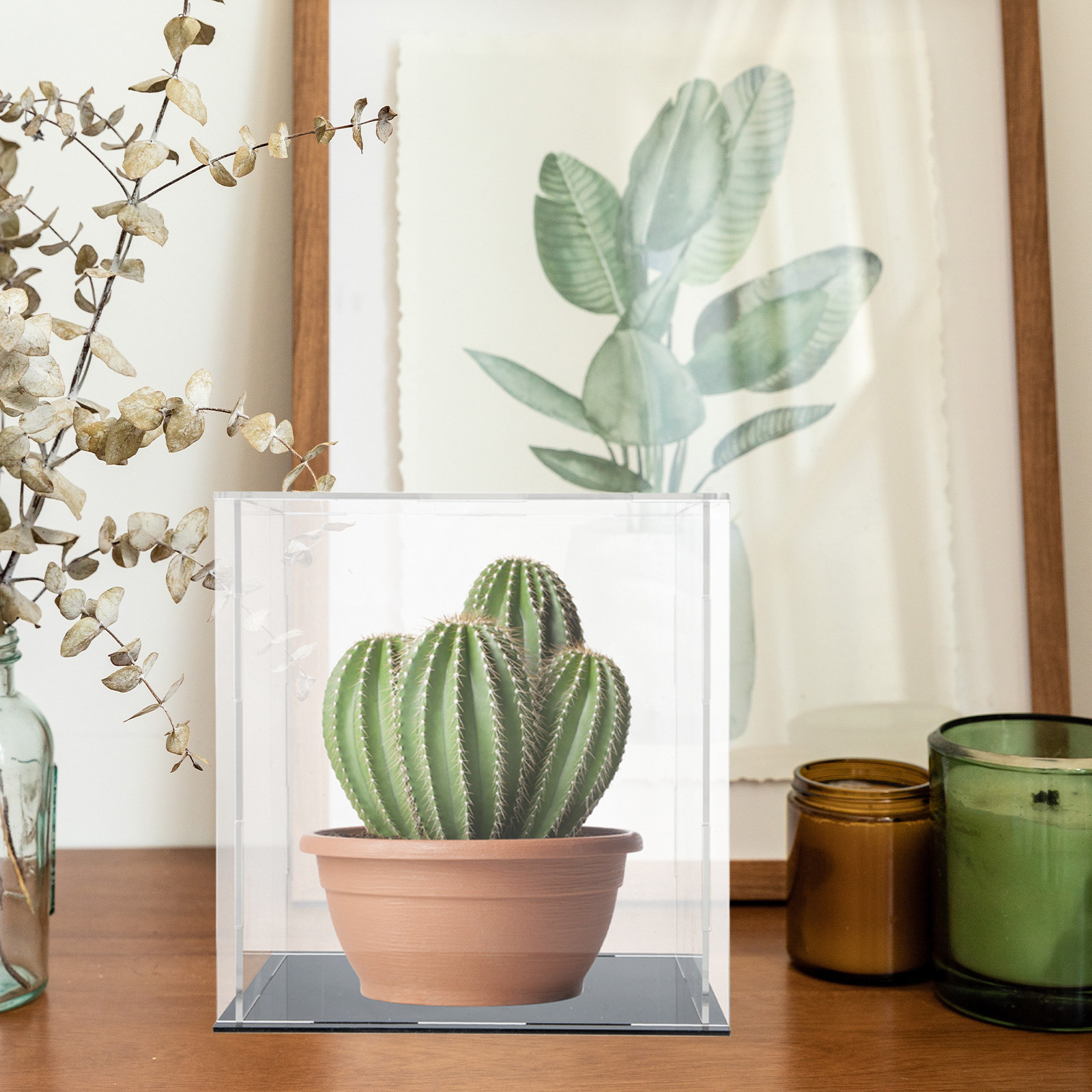 Kotak Pajangan Akrilik Berkual - Display Case Acrylic ulasan dan harga